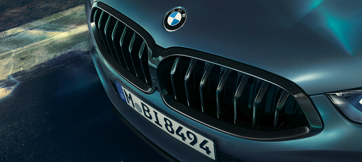 BMW M850i Coupé First Edition, BMW vesék A BMW M850i Coupé First Edition BMW veséi közelről